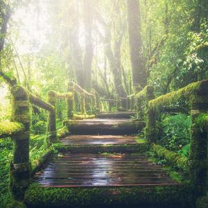 陆红孙子肖文笔趣阁
